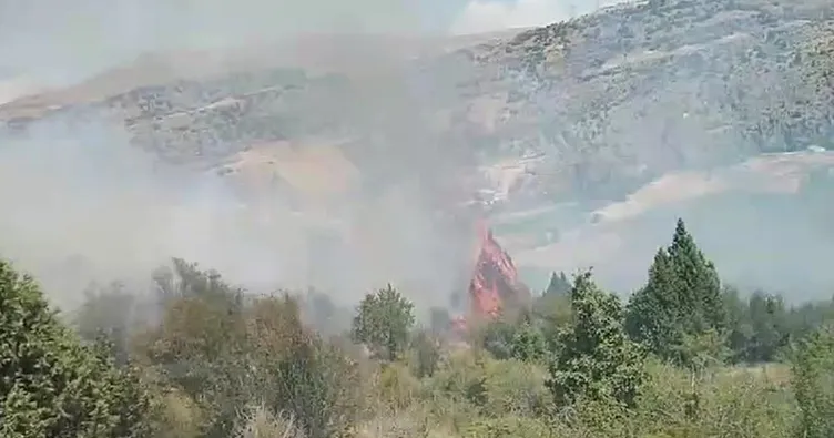 Kayseri’deki örtü yangını ekiplerin 2 saatlik çalışmasıyla söndürüldü