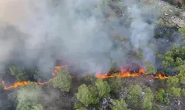 Antalya’da orman yangını