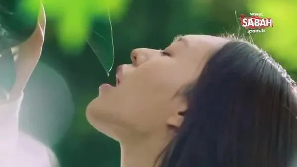 Güney Koreli süt firması, kadınları inek olarak gösteren reklam için özür diledi | Video