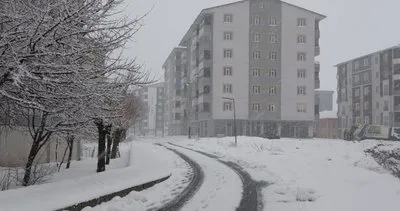 Bitlis’te 60 köy yolu ulaşıma açıldı