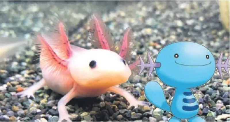 gercek pokemon son dakika haberler