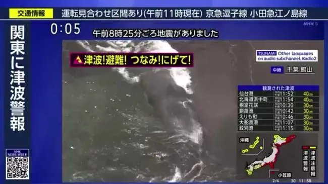 Dünya bu görüntüleri konuşuyor! Japonya’da acil koduyla tahliye emri! Balinalar karaya vurdu