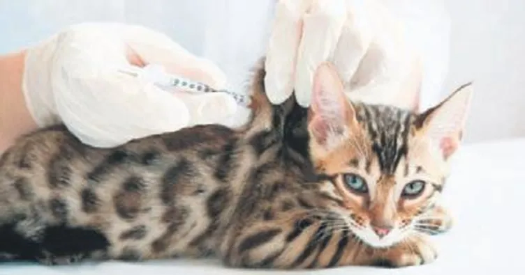 Koronaya karşı iki yeni öneri