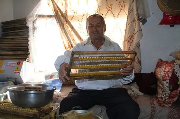'Biz bunu inekten değil sinekten sağıyoruz'