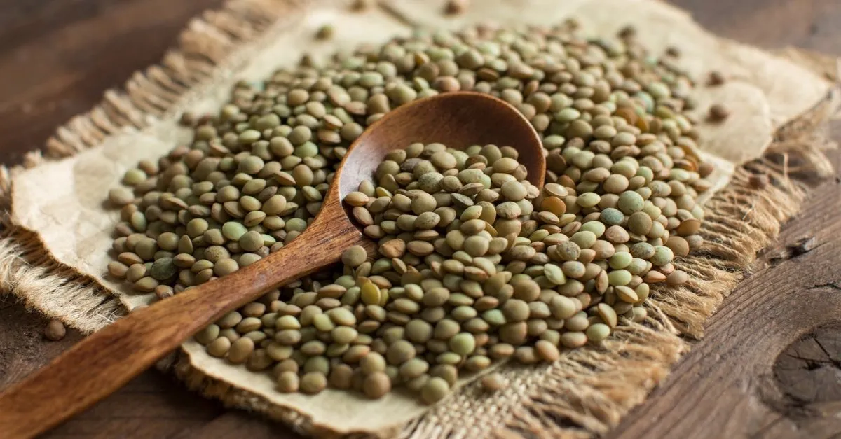yesil mercimek faydalari nelerdir iste yesil mercimek faydalari saglik haberleri
