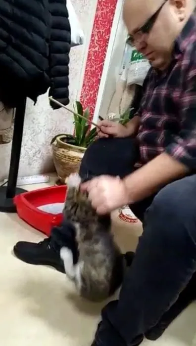 Bahçelievler’de kediye işkence eden zanlı akıl hastanesine gönderildi