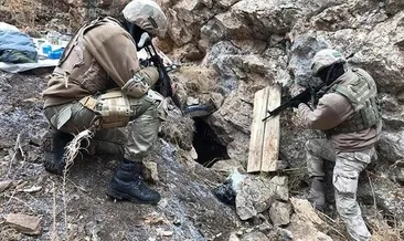 Van’da 316 terör operasyonu yapıldı