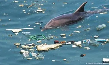 Marmara Denizi’nde yunustan fazla çöp var