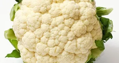 Karnıbahar’ın doğru yazılışı?