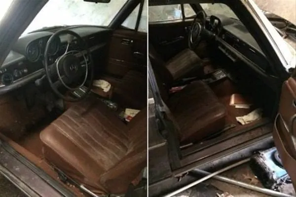 20 yıl sonra ahırdan çıktı