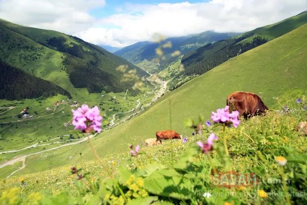 O bölgede dev turizm merkezi oluşturuluyor! 11 yeni 'Ayder' bulundu!