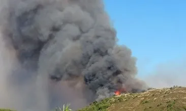 Antalya'daki orman yangını 3 saatte kontrol altına alındı! #antalya