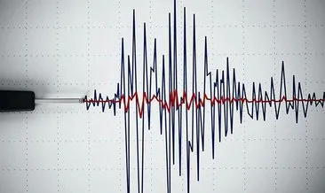 SON DAKİKA! AFAD duyurdu: Muğla’da korkutan deprem!