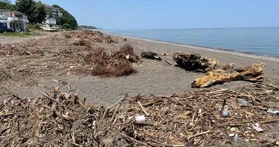 Akçakoca sahili sel sonrası odun parçaları ile doldu