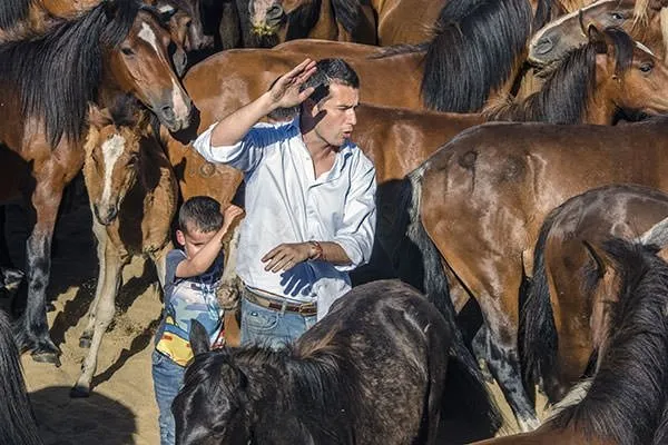 İspanya’da 500 yıllık at güreşi festivali
