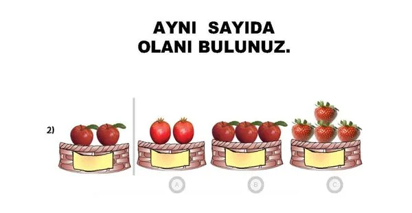 66. ay okuma öğrenmeye hazır mı?