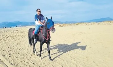 At sevgisi çiftliğe dönüştü