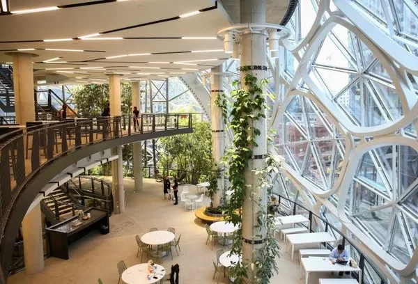 Amazon'dan yağmur ormanlarından ilham alan ofis