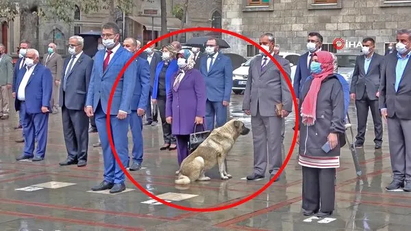 Son dakika! Isparta'da muhtarların saygı duruşuna eşlik eden sokak köpeği gülümsetti | Video