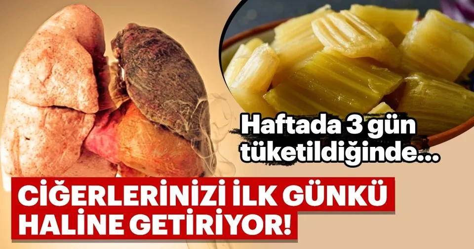 Haftada 3 gün tüketin yeter... Ciğerlerinizi ilk günkü haline getiriyor! Haftada 3 gün tüketin yeter... Ciğerlerinizi ilk günkü haline getiriyor!