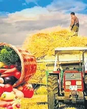 Tarımsal hasıla 83 milyar dolar