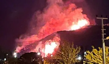 İzmir’in Urla ilçesinde orman yangını!