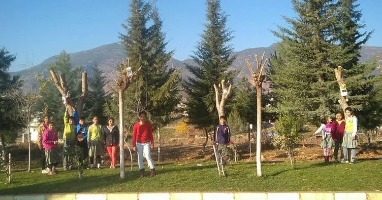 İslahiye’de, öğrenciler ağaçlara yuva yaptı