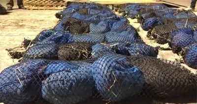 Yakalandı! Feci görüntüler...