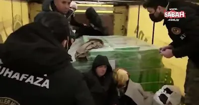 TIR dorsesinde yurt dışına kaçmaya çalışan 2’si kadın, 5 kişi yakalandı | Video