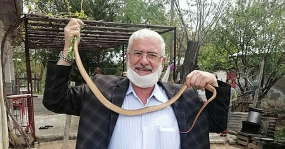 eve giren 1 5 metrelik boz yilani