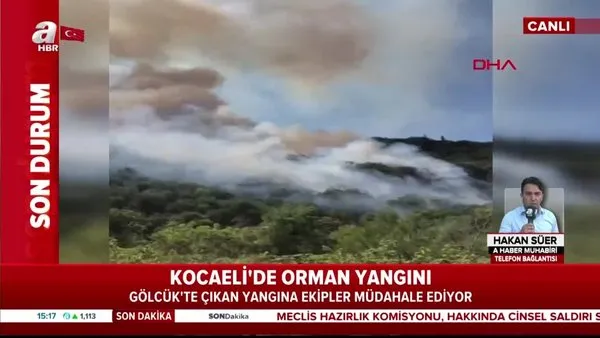 Kocaeli Gölcük'te orman yangını! Yangına ekipler müdahale ediyor | Video