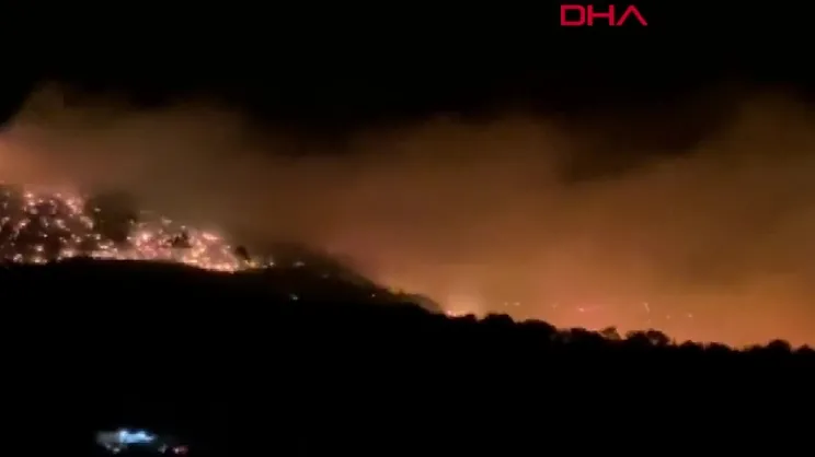 Muğla'da orman yangını