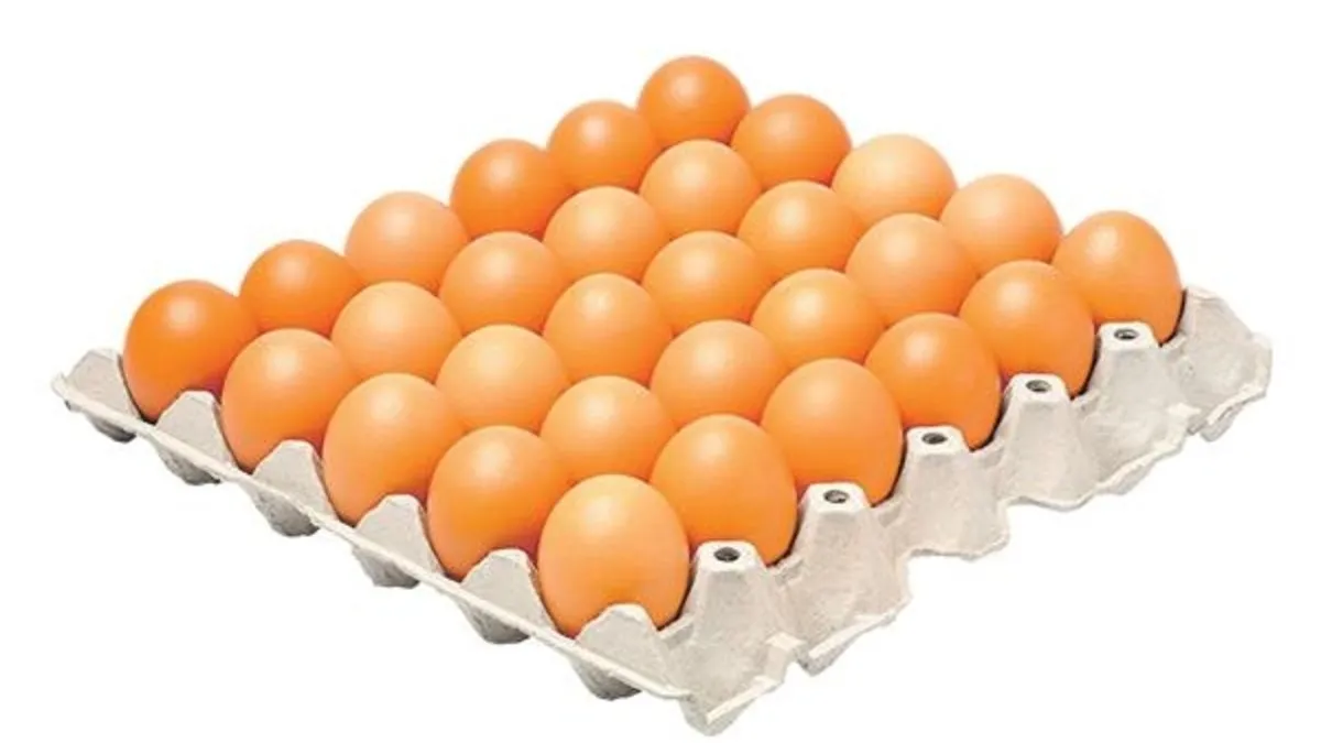 Yumurta bilişsel hafızayı güçlendiriyor – Sağlık Haberleri Yumurta bilişsel hafızayı güçlendiriyor – Sağlık Haberleri