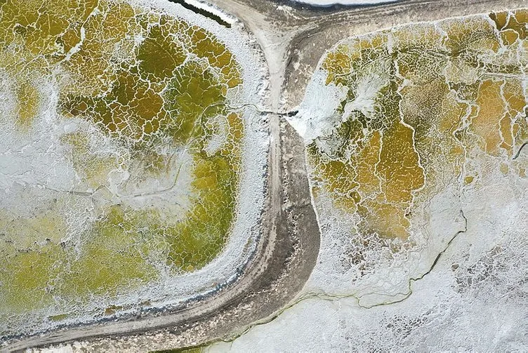 Açılışını bugün Başkan Erdoğan yaptı: Dünyada bir ilk!