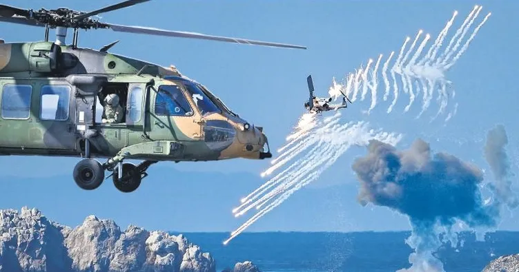 Mavi Vatanda gövde gösterisi