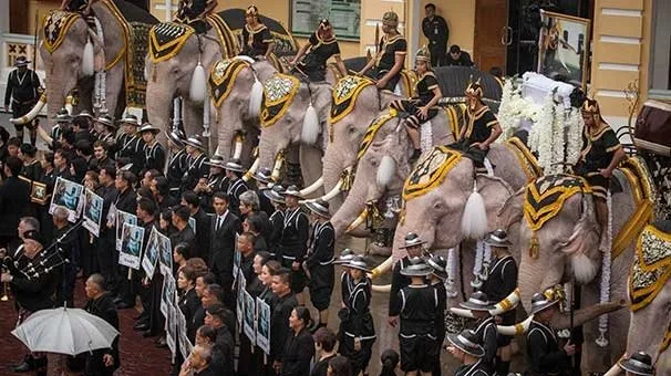 Tayland’da Kral Bhumibol’a saygı için ’Beyaz Fil’ töreni