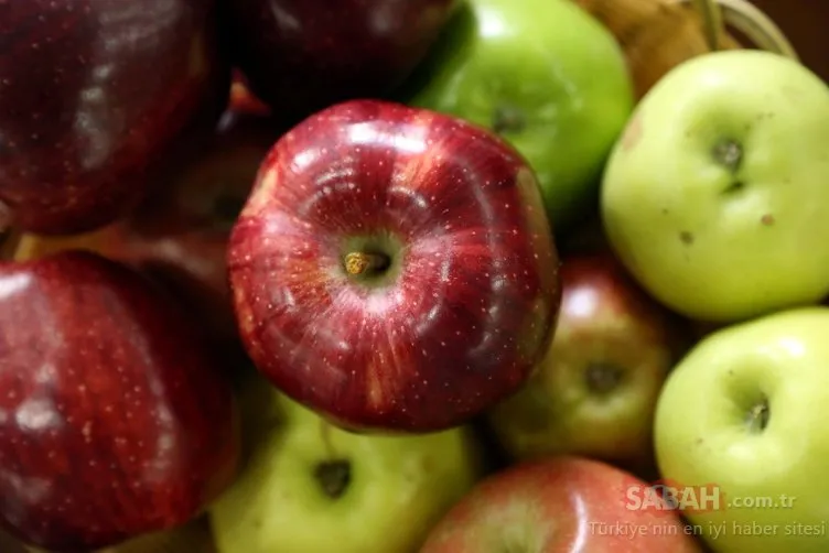 Göksun elmasının yüzde 95’i ihraç ediliyor!