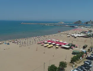 karincalari zarar vermeden evden kovabilmek bu kadar kolay galeri yasam karincalari zarar vermeden evden kovabilmek bu kadar kolay galeri yasam