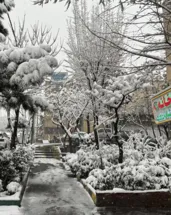 İran’da protestoların gölgesinde okullar tatil