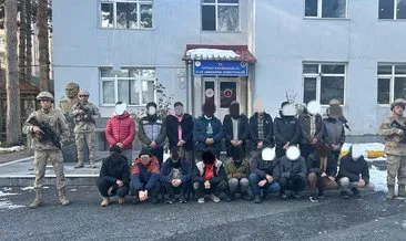 Bitlis’te 18 kaçak göçmen yakalandı