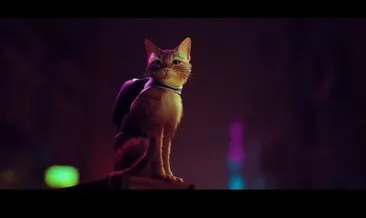 Sokak kedisini yönettiğimiz Stray hakkında merak edilenler: Çıkışını yapan Stray oyun konusu ne, hangi platformlarda oynanıyor, kaç saat?
