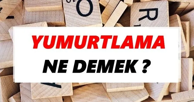 Yumurtlama Ne Demek? TDK’ya Göre Yumurtlama Sözlük Anlamı Nedir?