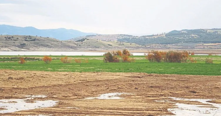 Afşar gölü’nde tehlike çanları