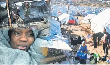 Hayvan haklarına bile razıyız