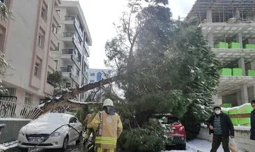 İstanbul’da dallarında kar biriken ağaç otomobilin üzerine devrildi
