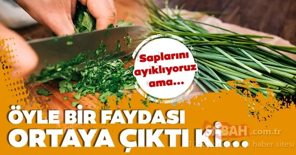 Süper besin diyoruz sapını ayıklıyoruz... Şifacı besin maydanozun sapının faydalarına inanamayacaksınız!