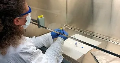 SON DAKİKA HABERİ: Corona virüse karşı aşı çalışmalarını dünyaya duyurdular! İki hafta içinde...