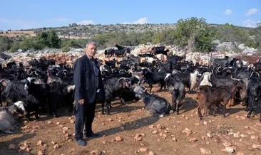 Yörüklerin göçünden renkli görüntüler