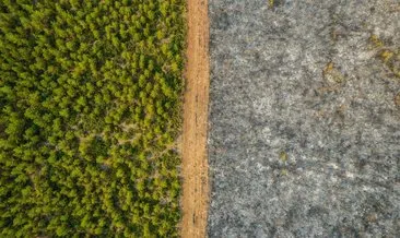 Foto muhabirimizin çektiği fotoğraf dünyada gündem oldu