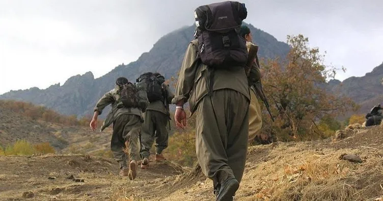 Van’da bir PKK’lı teslim oldu